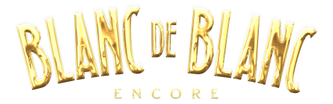 logo footer alt